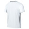 Maglietta Nike Park 26