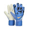Guanti Nike Match