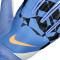Guanti Nike Match