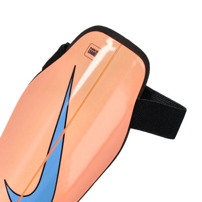 Parastinchi Charge Guard