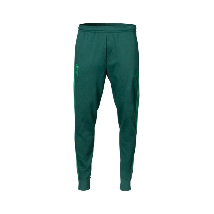 pantalon-largo-adidas-winter-real-zaragoza-2025-2026-team-dark-green-1