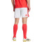 Pantaloncini adidas Benfica Home 2026-2027