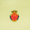 Maglia Nike RCD Mallorca Training Giocatore Capsule 2025-2026