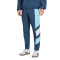 Pantaloni  adidas Argentina Fanswear Mondiali 2026
