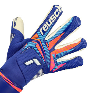 DORSO-2