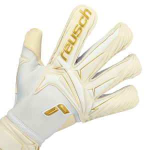 DORSO-2