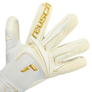 DORSO-2
