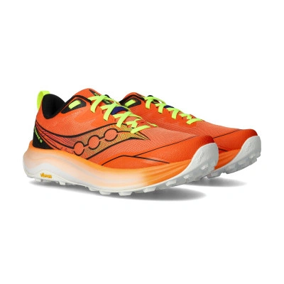 Scarpe Peregrine 16
