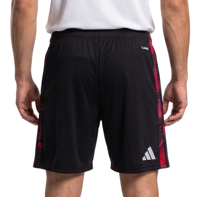 Pantaloncini Slb Benfica Third 2026-2027