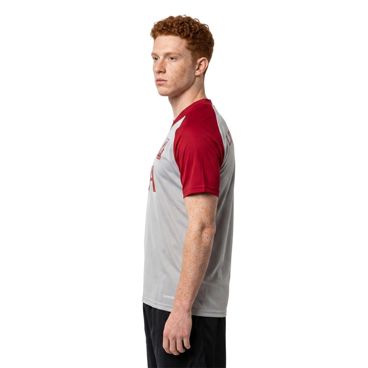 camiseta-adidas-liverpool-fc-pre-match-away-2026-2027-grey-two-2
