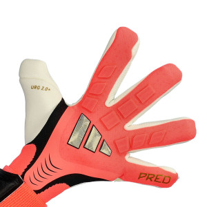 DORSO-2