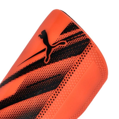 Parastinchi Attacanto Sleeve