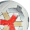 Pallone Nike Academy Plus