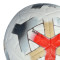 Pallone Nike Academy Plus