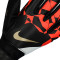 Guanti Nike Match