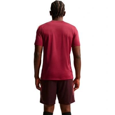 Maglietta Nike Strike Dri-Fit