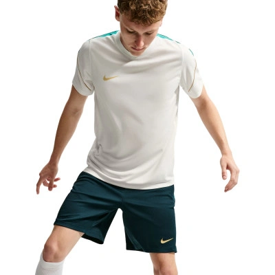 Maglietta Dri-Fit Strike