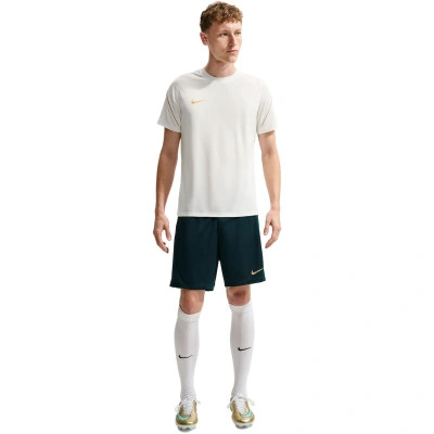 Maglietta Dri-Fit Strike