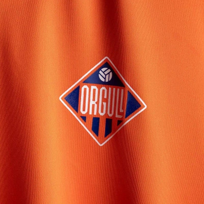 Maglia Afició CON PERSONALIZACIÓN FFCV Niño