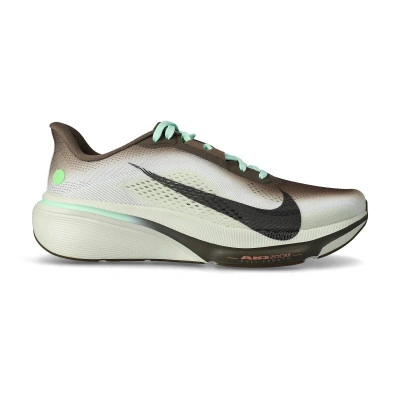 Scarpe Pegasus 42