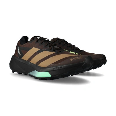 Scarpe Terrex Agravic Gore-Tex 2