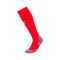 Calzettoni Puma teamLIGA Milan Academy World