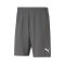 Pantaloncini Puma teamRISE Milan Academy World