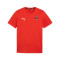 Maglietta Puma teamGOAL Cotton Milan Academy World