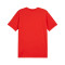 Maglietta Puma teamGOAL Cotton Milan Academy World