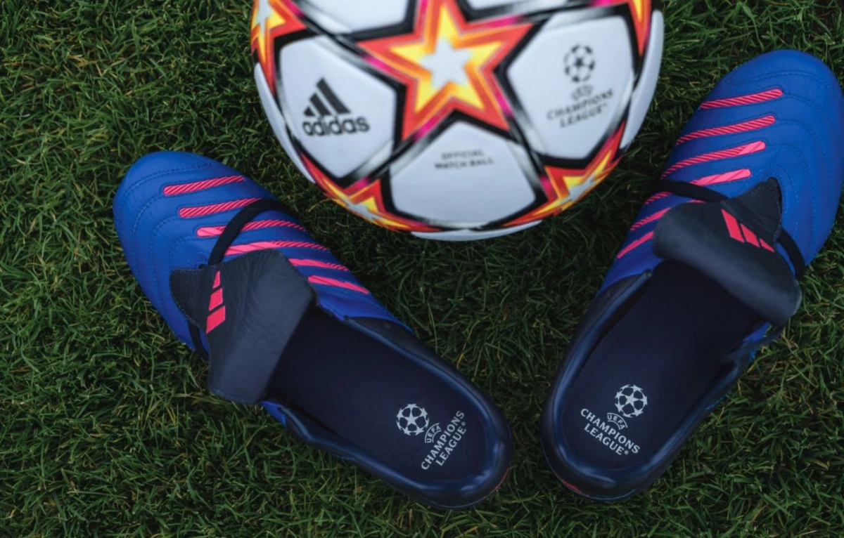 post card Predator_Pulse_UCL_4.webp