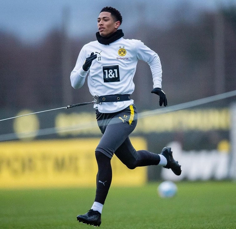 post card post-predator-blackout-jude.webp