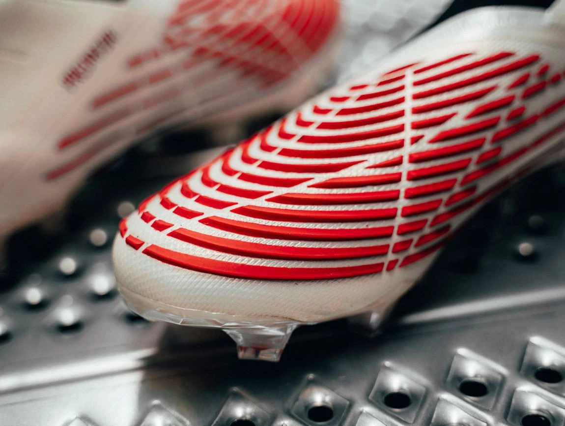 post card predator_showdown_cuatro.webp