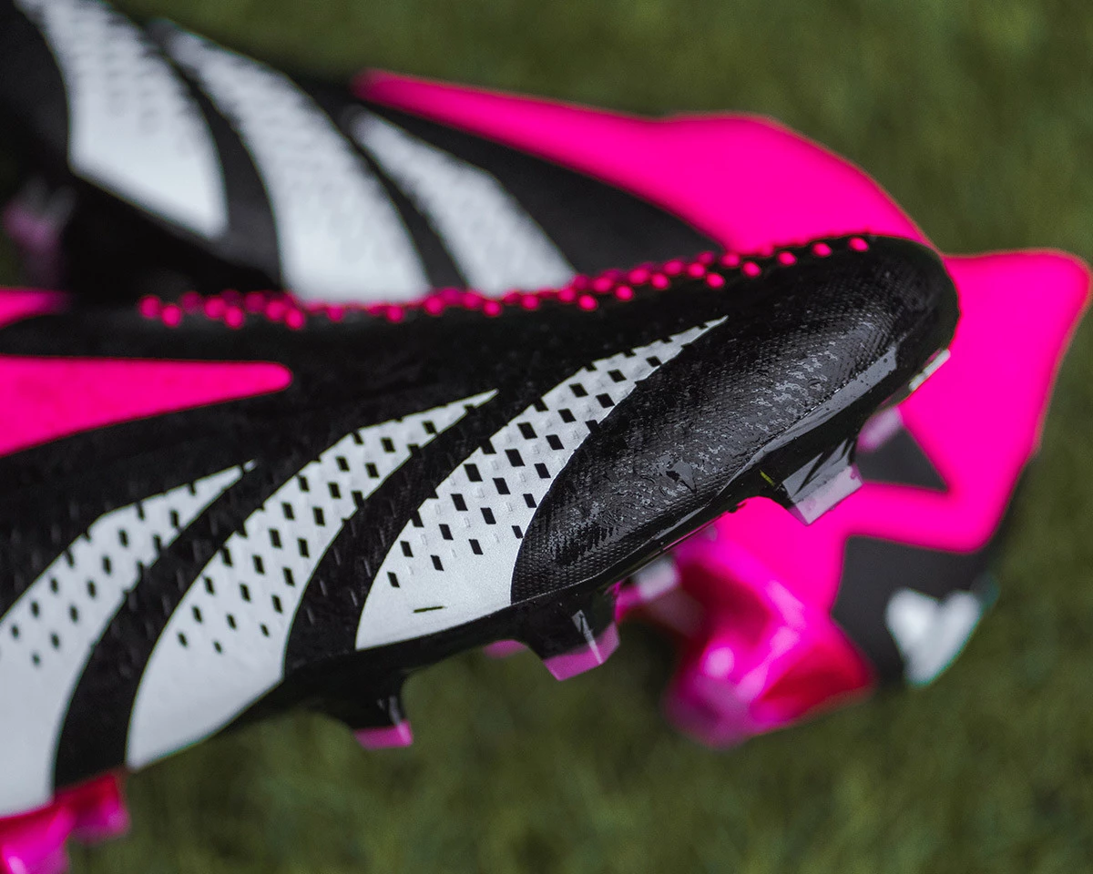 post card _DSC9902.webp