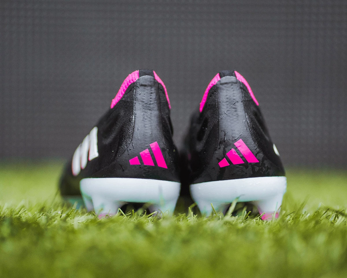 post card _DSC0090.webp