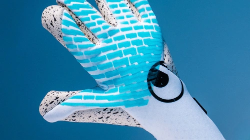 Guanti da portiere Uhlsport